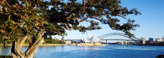 Royal Botanic Garden Sydney