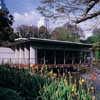 Thailand building design by MJP Architects