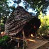 Ecological Children Activity and Education Center at   Six Senses' Soneva Kiri Resort Koh Kood Thailand