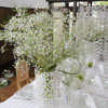 White Forest Exhibition
