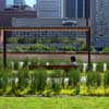 Nathan Phillips Square Toronto