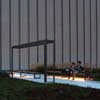 Nathan Phillips Square Revitalisation Podium Green Roof