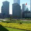 Nathan Phillips Square Toronto Landscape