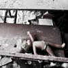 Chernobyl Building Ukraine Architecture