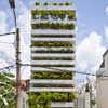 Stacking Green Ho Chi Minh city