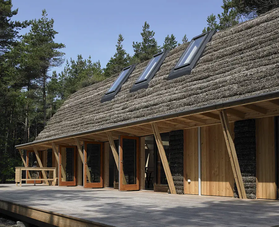 Modern Seaweed House