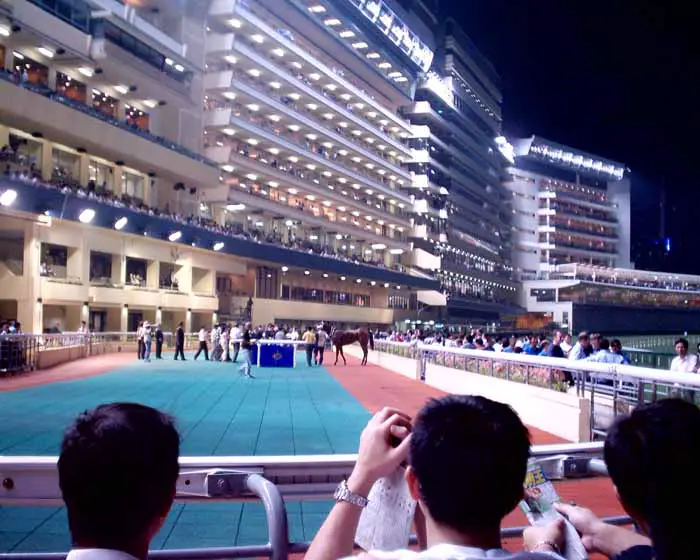 Happy Valley Hong Kong Racecourse horses paddock