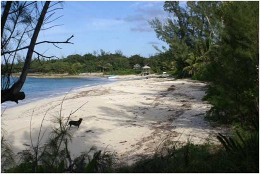 Bahamas beach Caribbean