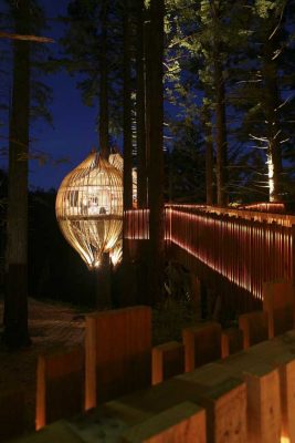 Yellow Treehouse Restaurant NZ