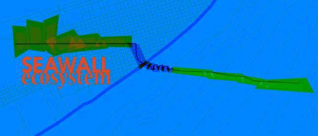 Galveston Seawall Design Contest: Charrette