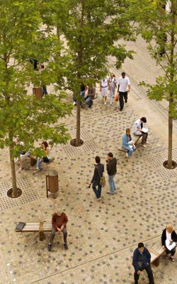 Bonn Square Oxford landscape architecture