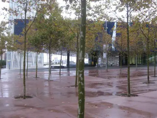 Forum Barcelona trees in landscape design