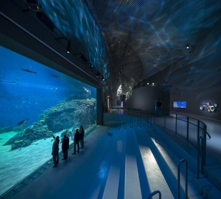 Copenhagen Aquarium design by 3XN architects