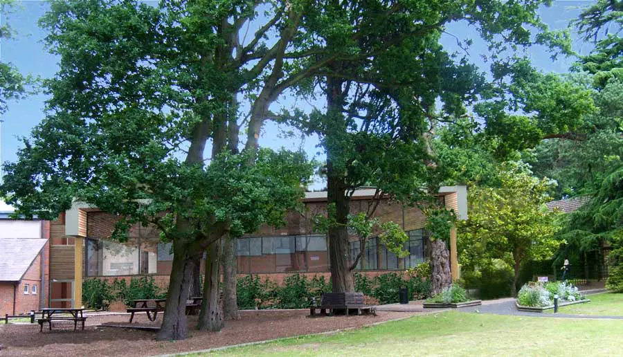 Feltonfleet School Surrey building by Mackenzie Wheeler