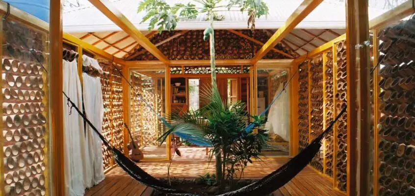 Costa Rican Home: A Forest for a Moon Dazzler