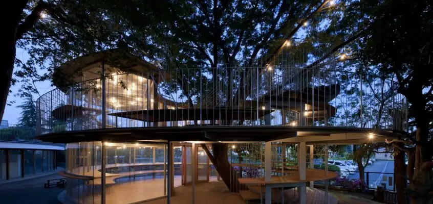 Ring Around a Tree, Fuji Kindergarten, Japan