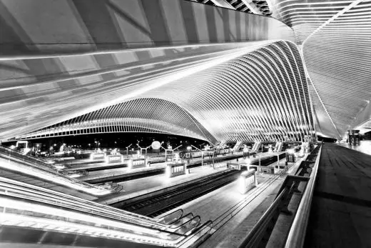 Liège Guillemins Station Santiago Calatrava Architecture