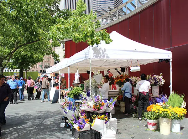 Seattle City Hall Plaza