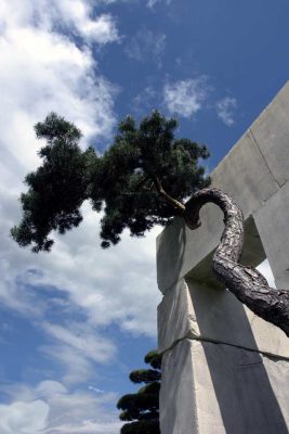 Tree Museum - Lake Zurich Building