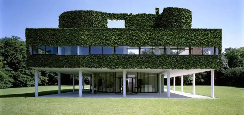 STAR strategies + architecture Rotterdam