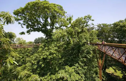 Kew Garden's Tree Top Walkway London greenery