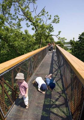 Kew Garden's Tree Top Walkway London