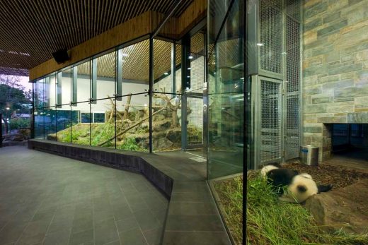 Adelaide Zoo Giant Panda Forest design