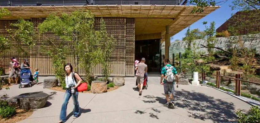 Adelaide Zoo Giant Panda Forest Building