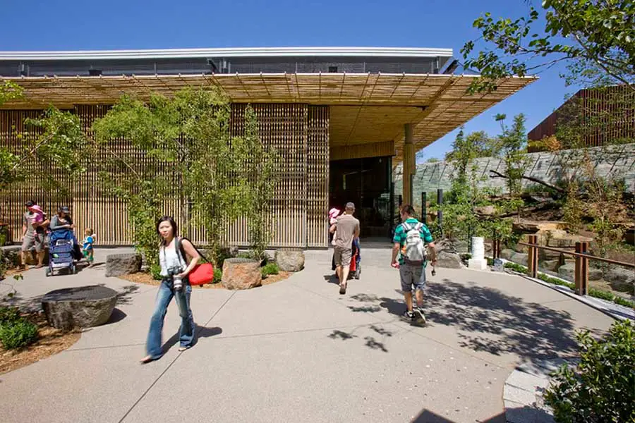 Adelaide Zoo Giant Panda Forest Building