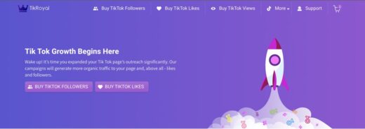 6 TikTok Services To Save In Your Favorites In 2021