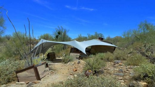 Brittlebush Taliesin