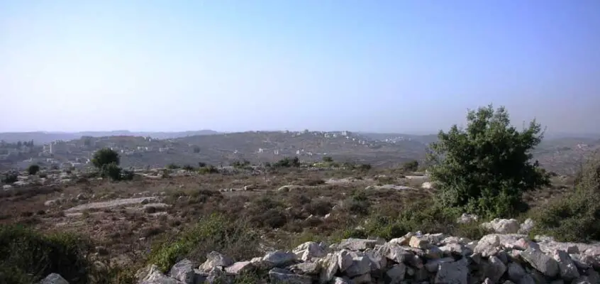 Palestinian Museum, Palestine competition