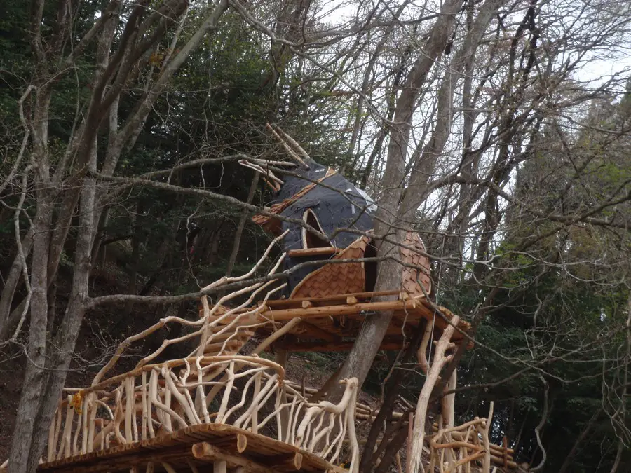 Matsushima Tree House Japan nature