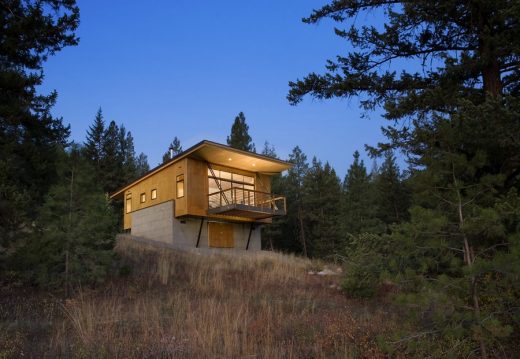 Pine Forest Cabin: Winthrop House