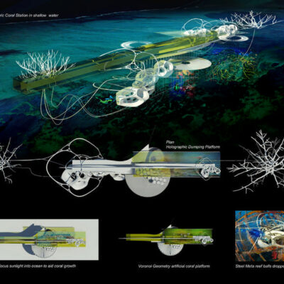 Electric artificial reef station