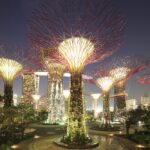 Supertree Grove of Singapore's Gardens by the Bay