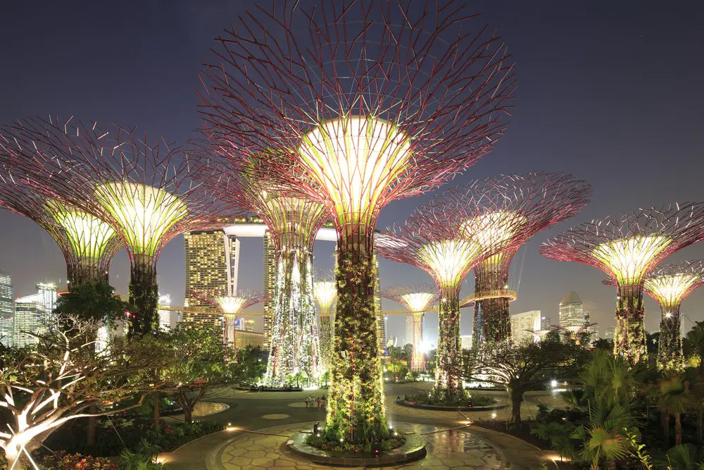 Supertree Grove of Singapore's Gardens by the Bay