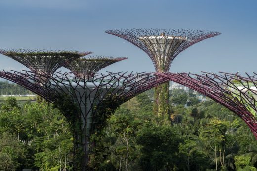 Supertree Grove of Singapore's Gardens by the Bay