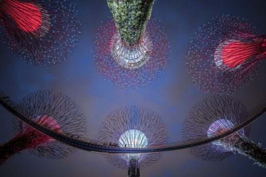 Supertree Grove of Singapore's Gardens by the Bay