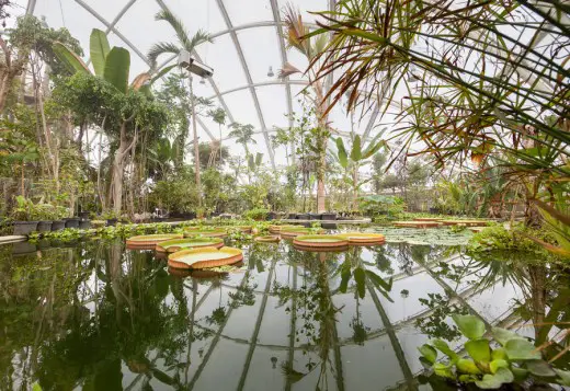 Hothouse at the Botanical Gardens in Aarhus