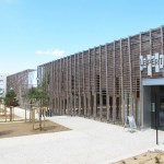La Queue Du Lezard 9