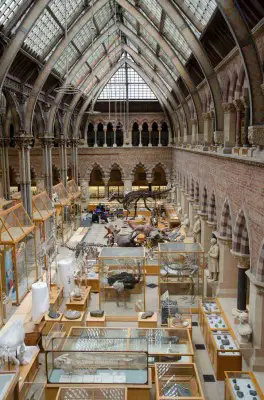 Oxford University Museum of Natural History 1