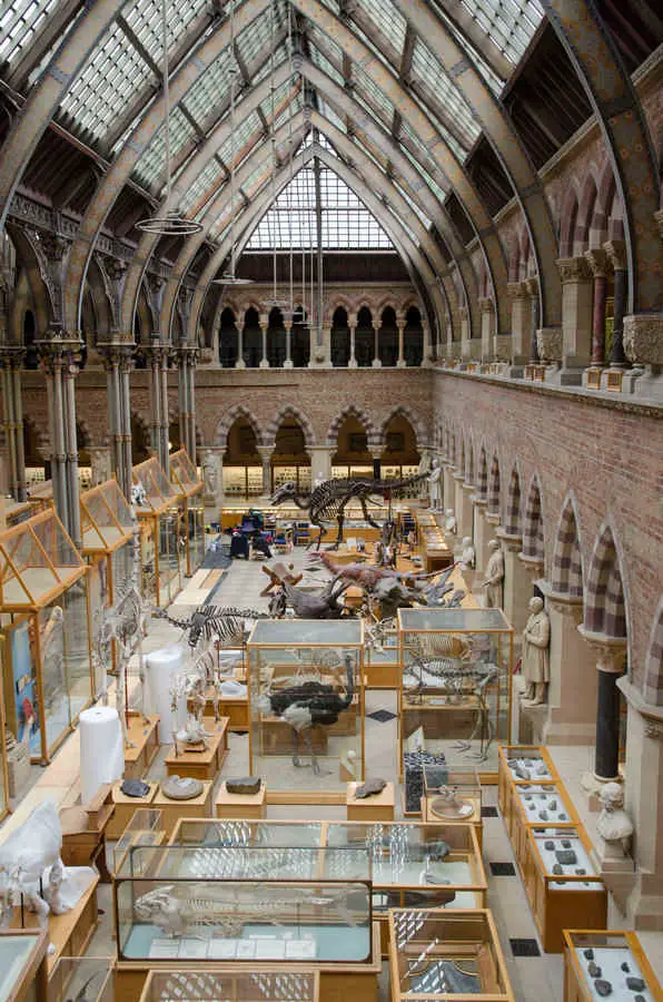 Interior of Oxford University Museum of Natural History