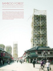 Bamboo Forest: Skyscrapers And Scaffoldings In Symbiosis.