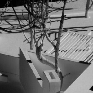 House Ti Urban Villa 1