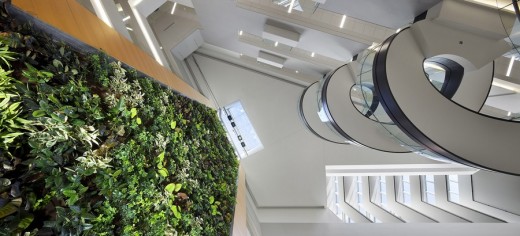 Living Wall