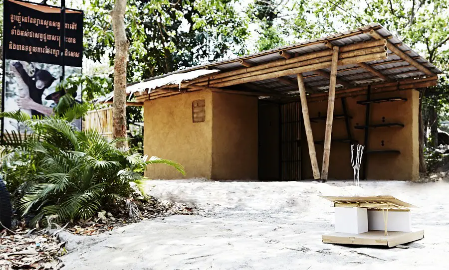 Bear Rescue Centre in Phnom Penh