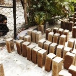 Bear Rescue Centre in Phnom Penh