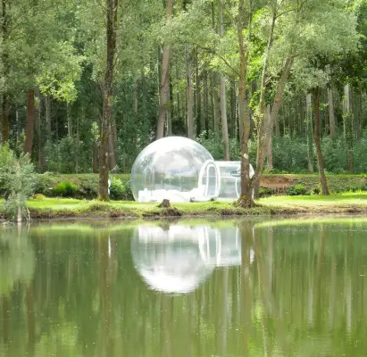 bubble home