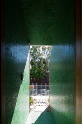 Green House in Rozelle